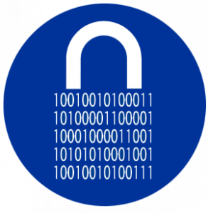 IT/Data Security Icon